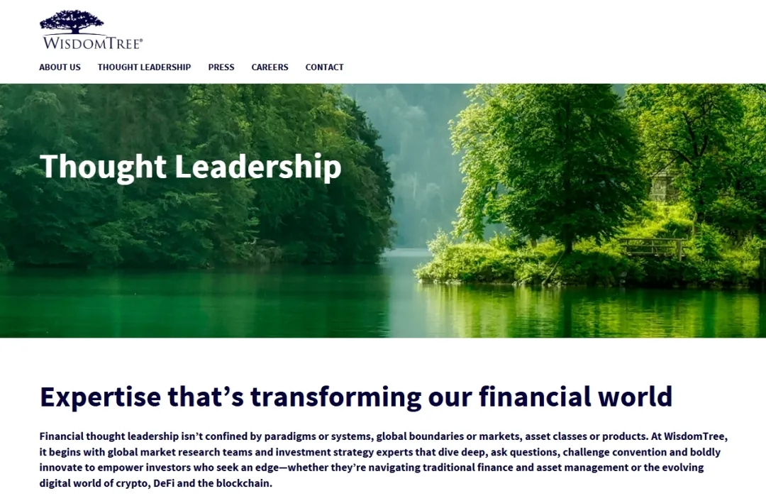 WisdomTree 美国金融服务公司